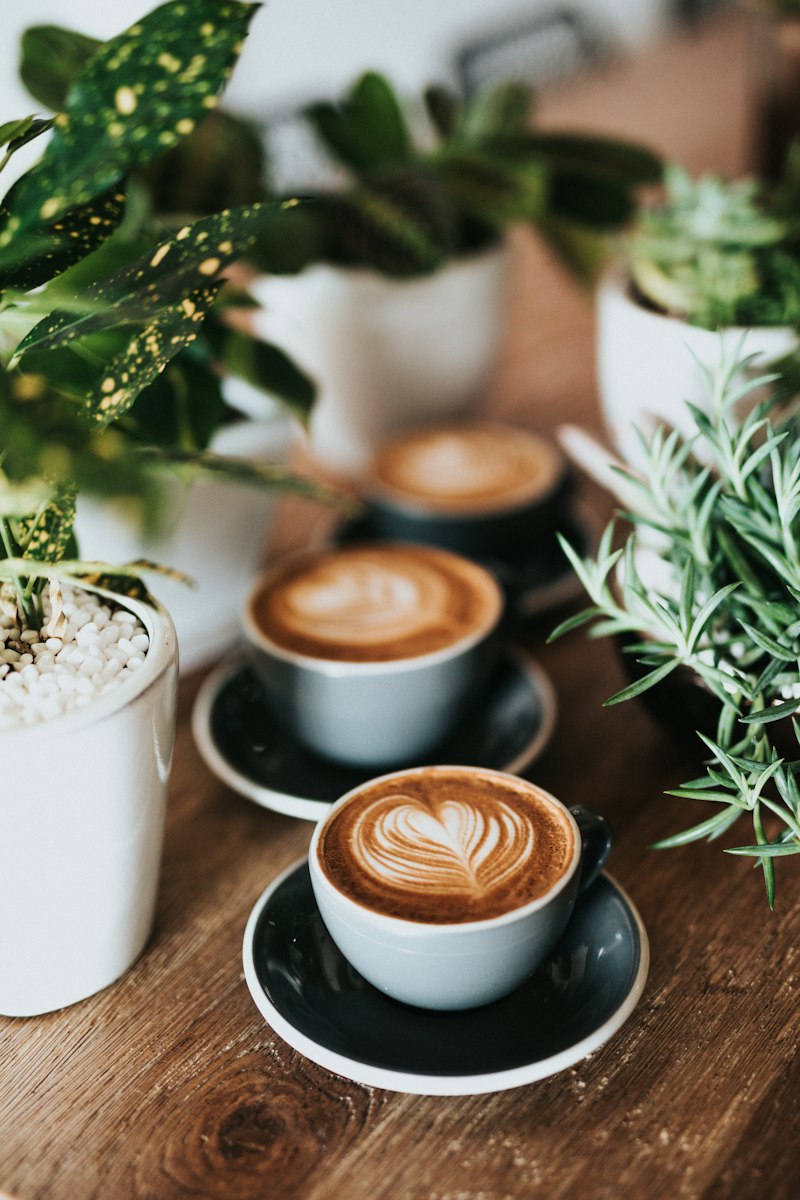 Matcha Ceremonial Latte